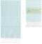 WETCAT Turkish Beach Towel, Oversized (38"x71"), 100% Cotton, Quick Drying & Lightweight for Travel (Aquamarine)