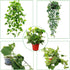 Kiouposy 2 Pack 15" Circle Trellis for Climbing Plants Indoor, Gold Small Plant Support Stakes, Flower Houseplant Hoya
