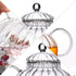Glass Teapot with Infuser, Loose Leaf and Blooming Tea Maker, Stovetop Safe Kettle