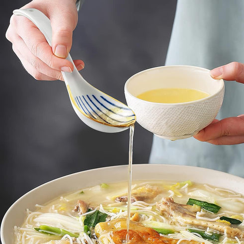 IQCWOOD 6.2-inch Asian Soup Spoons, 4pcs Ceramic Chinese Soup Spoon for Ramen, Pho, Wonton, Dumpling, Miso