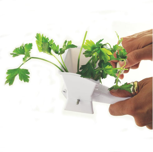 Norpro 6.25in/16cm, Herb Mill, White