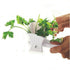 Norpro 6.25in/16cm, Herb Mill, White