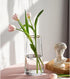 Moden Small Trapezoid Glass Vase with Gold Mouth for Home Wedding Centerpieces Decoration (4.7" x 8.7")