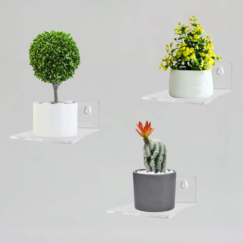 Bigfety Acrylic Small Floating Shelves for Wall, 3-Ledges Clear Mini Display Floating Shelf with Adhesive or Screw
