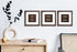 8x8 Set 3 5x5 8x8 Picture Frame of with Real Glass for Pictures with Mat or Without Mat, Wall Mounting or Tabletop