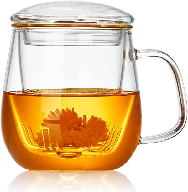 DOPUDO Glass Tea Cup with Infuser and Lid, 17.6oz/520ml Large Borosilicate Teacup,Tea