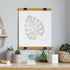 Adjustable Metal Arms Display Stand Easel with Acrylic Base for Crystal Mineral Coral Rock Agate Fossil Collection