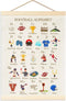 BirtDerr Football Alphabet Nursery Decor, Football Wall Art Print for Boys Bedroom, Nursery