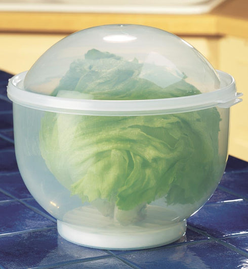 WalterDrake 7" 8" Lettuce KeeperTM - Lettuce Crisper Salad Keeper Container Keeps your Salads and Vegetables Crisp