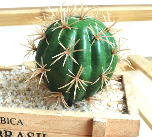 FagusHome Artificial Cactus Decor - Faux Cactus Plant Fake Succulents, 4 Pieces Unpotted Indoor Décor