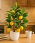 18 AceList Artificial Lemon Tree with White Pot, Faux Citrus Plant for Kitchen, Bathroom, Office or Shelf Decor