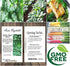 Pack (5,000) Pack Big - Tat SOI Tatsoi Tah Tsai Spinach Seed - Chinese Vegetable - Non-GMO Seeds by MySeeds.Co (Big