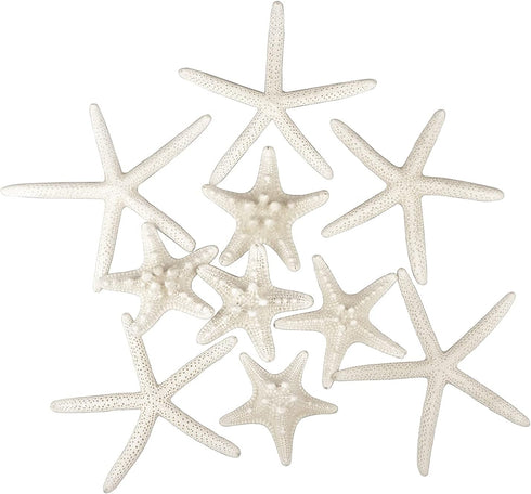 Jangostor 12 PCS Mixed Starfish - 2-6 Inch Natural Seashells for Wedding Decor, Beach Theme Party, DIY Crafts
