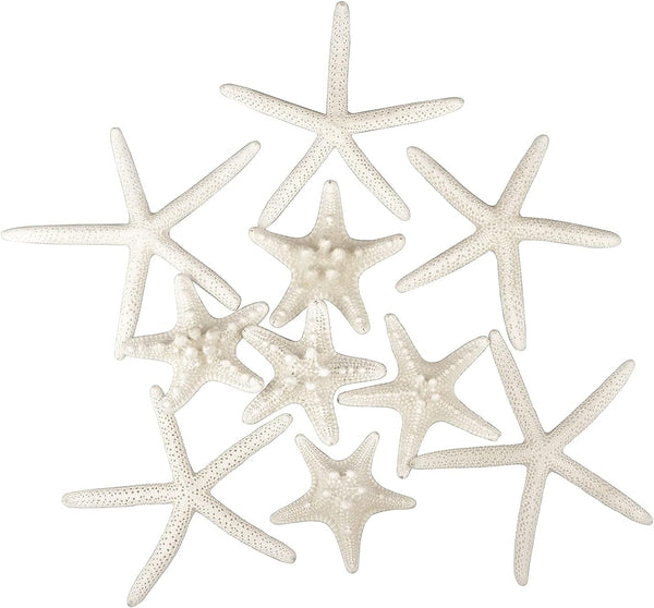 Jangostor 12 PCS Mixed Starfish - 2-6 Inch Natural Seashells for Wedding Decor, Beach Theme Party, DIY Crafts