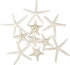Jangostor 12 PCS Mixed Starfish - 2-6 Inch Natural Seashells for Wedding Decor, Beach Theme Party, DIY Crafts