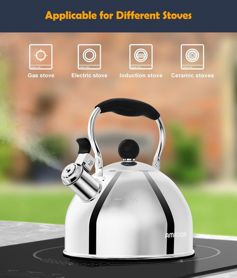 2 Tea Kettle, Quart Stainless Steel Whistling Tea Kettle, Stovetop Whistling Teakettle Tea Pots for Stove Top