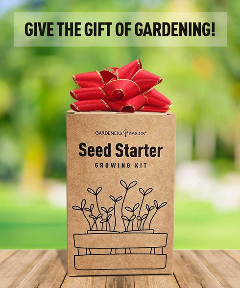 8 Tomato Growing Kit Grow Varieties of Delicious Tomatoes Non-GMO Heirloom Seeds, Complete Indoor & Outdoor Tomato Seed