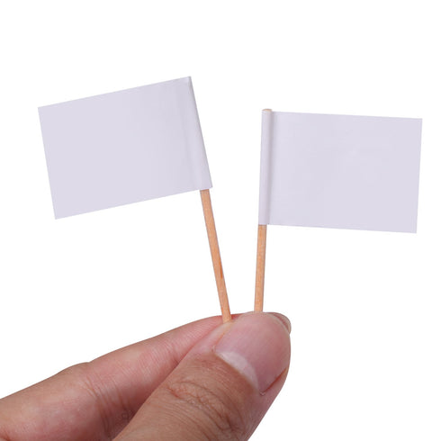 200 Pack Blank Toothpick Flags Food Cheese Labels for Charcuterie Board, Cupcake, Party Decoration (White)