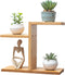 QruiLanTu Mini Desktop Plant Stand Indoor Multi-Layer Window Sill Flower Stand Bamboo Succulent