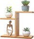 QruiLanTu Mini Desktop Plant Stand Indoor Multi-Layer Window Sill Flower Stand Bamboo Succulent