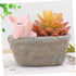 Yardwe Ceramic Planter, Unique Cactus Pot, Decorative Airplant Pot, Mini Container for Bonsai or Desk Topper