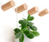 cuwuu's Modern Wood Wall Hooks, 4 Pack Natural Wooden Coat Hooks for Bathroom Entryway