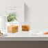 Yomjarl 2 Pack Cheese Container for Refrigerator Airtight Creamer Container with and Lid Cream Cheese Sliced Cheese Box