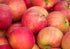 100 Heirloom Apple Seeds - Pcs Non-GMO for Planting