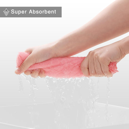 Homaxy 12 Pack Dish Towels for Kitchen, Super Soft and Absorbent Coral Velvet Dish Cloths, 10 x 20 Inches