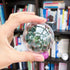 20 Pack Clear Plastic Fillable Ornament Balls - Sweetfamily DIY Christmas Decorations, Transparent Ball Gifts for