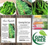 MySeeds.Co - BIG PACK Seeds Pack (1,500) Pack Big - Chinese Broccoli, Kailan GAI LAN Seeds - Used in Cantonese Cuisine