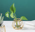 Nordic Small Clear Glass Vase, Metal Geometric Iron Line Cup Pot for Hydroponic Flowers, Modern Home Décor