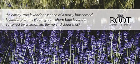 Root Candles Honeycomb Veriglass Scented Beeswax Blend Candle in English Lavender Large