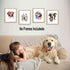 Lovely Dog Canvas Wall Art - Colorful Border Collie Pet Painting, Set of 4 (8”X10”, No Frame)