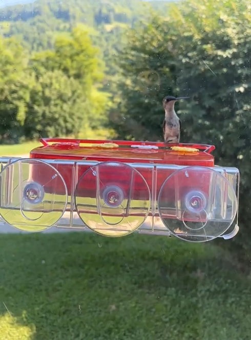 Window Hummingbird Feeder, Plastic Humming Bird Feeder with 3 Strong Suction Cups, Easy to Clean and Refil,Built-in Moat (10oz) (2, Red)