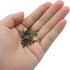 Murtenze 350Pcs (33mm Chandelier Connectors Clips Pins - Chandelier Replacements for Fastening Crystals Parts Bronze)