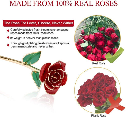 24K Red Rose Christmas Gift, Eternal Love Real Gold Plated Rose Flower, Romantic Present for Wife, Mom, Grandma,