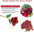 24K Red Rose Christmas Gift, Eternal Love Real Gold Plated Rose Flower, Romantic Present for Wife, Mom, Grandma,