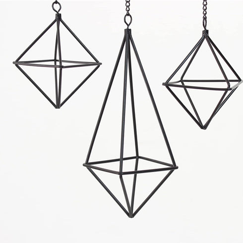 SZRUIZFZ Himmeli (6Pcs) Black Metal Air Plant Hanger, Tillandsia Air Plants Holders Unique, Modern Air Fern Display