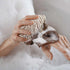 12 Pack, 13.5 13 Inches Cleanbear Wash Cloths Jacquard Weaved Cotton Washcloth for Body and Face, by Soft Face Towels