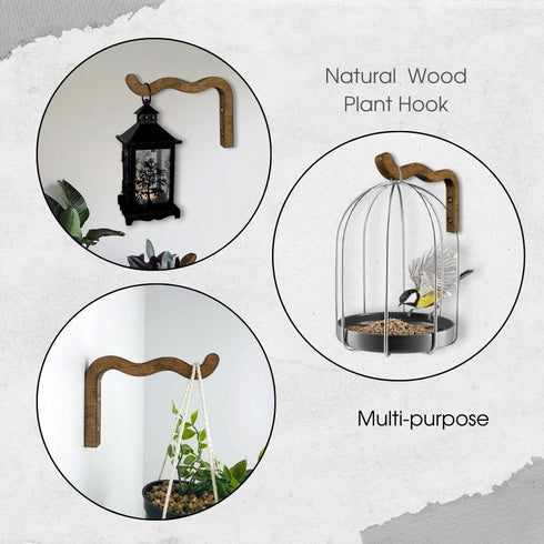 2-Piece Set 6 Inch EvenWood of Wavy Wooden Wall Planters for Indoor Plants - Natural Plant Hook for Wall Plant, Wind