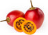 Noah's Seed Depository 35 Tamarillo Tree Tomato Tamamoro Tomate de Arbol Seeds PCS