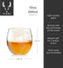 Set of 2 Viski Globe Glass Whiskey Tumblers, 10 oz, Etched Glass Whiskey Enthusiast Gift and Glassware Accessory