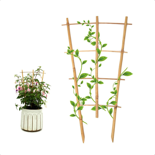 COLOtime 3Pack Bamboo Trellis 16 Inch Fan Shaped Small Plant Trellis for