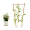 COLOtime 3Pack Bamboo Trellis 16 Inch Fan Shaped Small Plant Trellis for