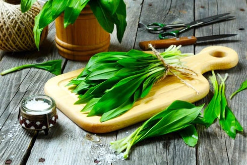 40 Wild Garlic Ramsons Buckrams Wild Onion Non-GMO Seeds for Planting