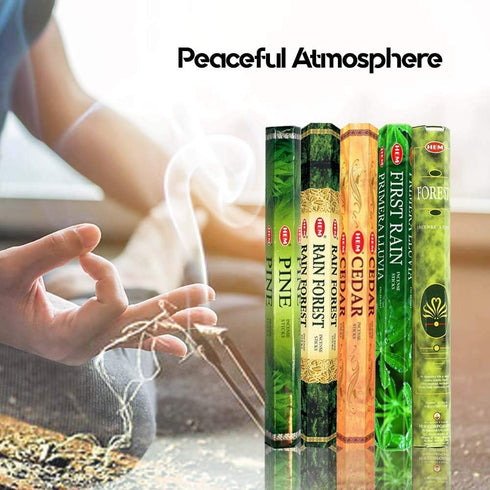 Hem Incense Forest Cedar Pine Rain Forest First Rain, 5 x 20, 100 Sticks