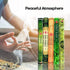 Hem Incense Forest Cedar Pine Rain Forest First Rain, 5 x 20, 100 Sticks