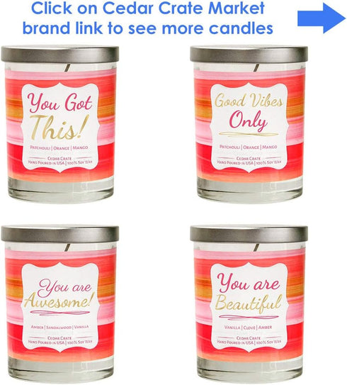 You are Awesome! Best Friend Candle, Friendship Gifts for Women, Birthday Gifts for Friends, Christmas Candle, Vanilla