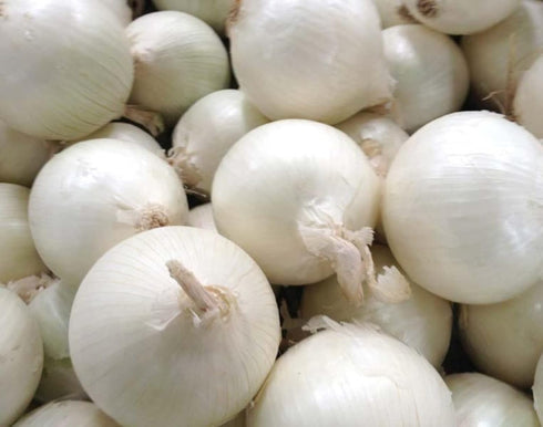 Generic 250 Southport White Globe Onion Seeds for Planting Long Day Onion Non